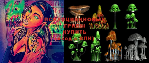 2c-b Ладушкин