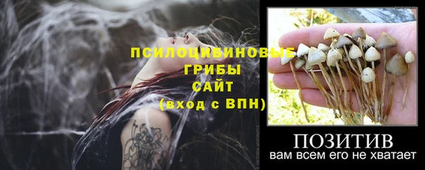 прущие крисы Краснослободск