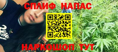 стафф Кандалакша