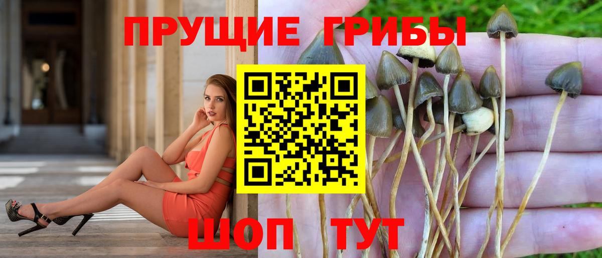 Псилоцибиновые грибы Magic Shrooms Лыткарино